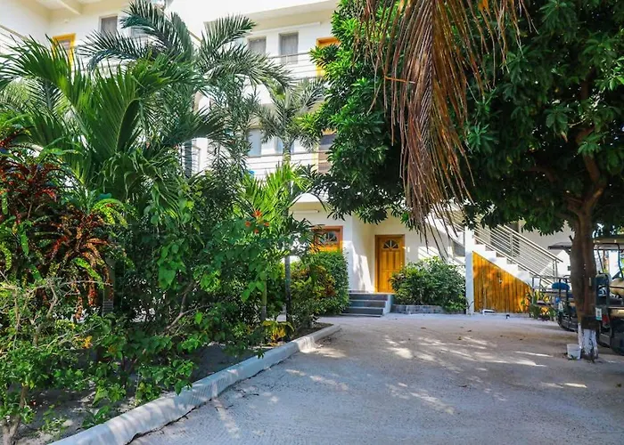 Beachfront With Ocean Views Wifi Partial Ac & Shared Pool Dock Kayaks * San Pedro (Ambergris Caye)